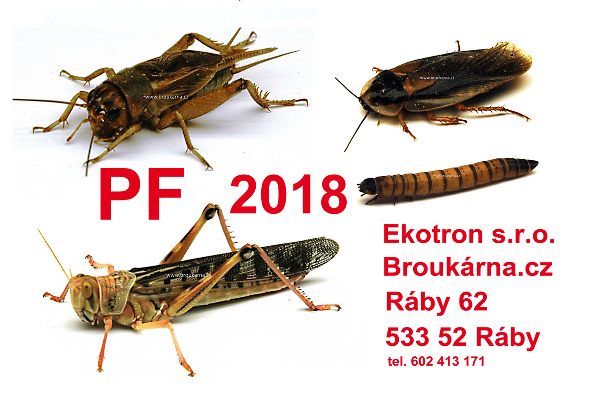 PF Broukárna-II-800